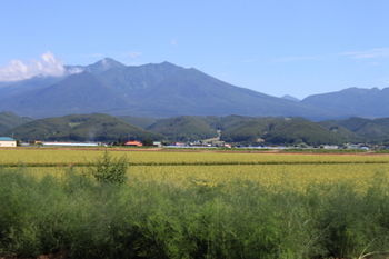 Country Wakiaiai *